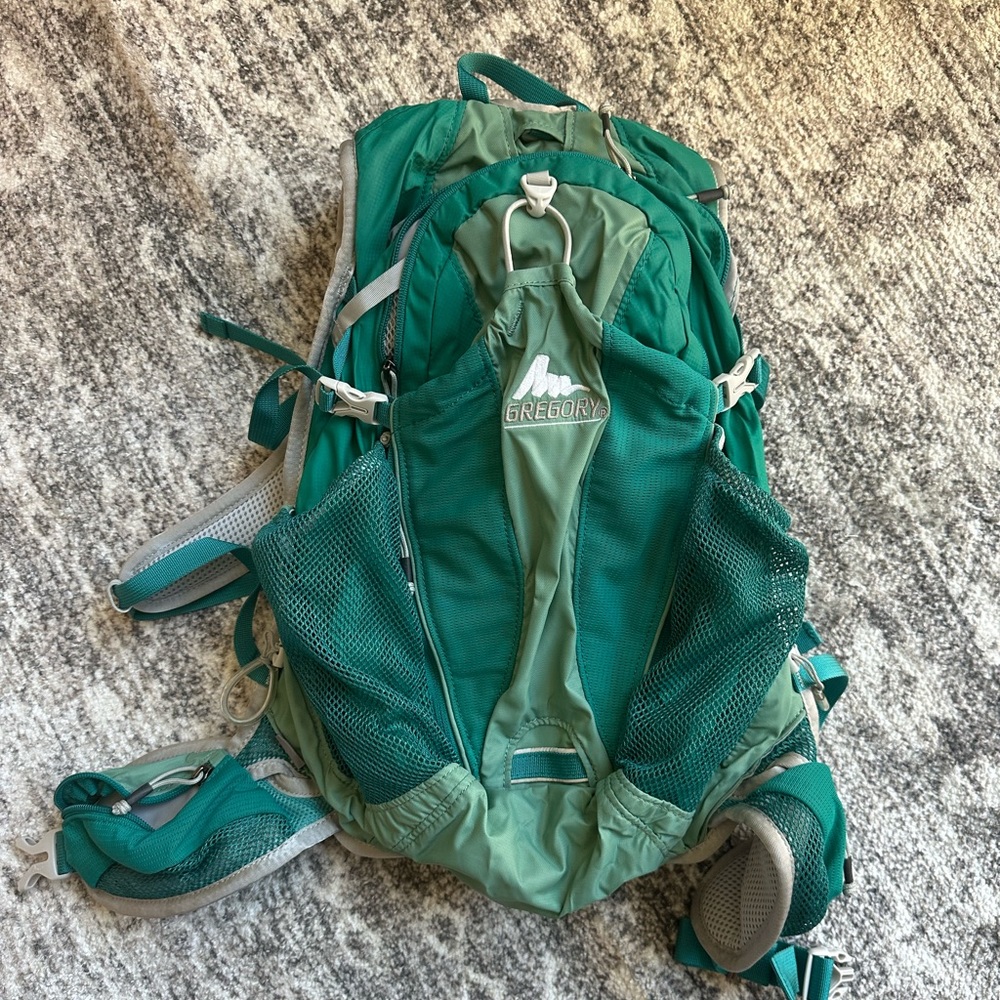 Small Gregory day pack with slot for hydration bladder.  Beautiful green color.
